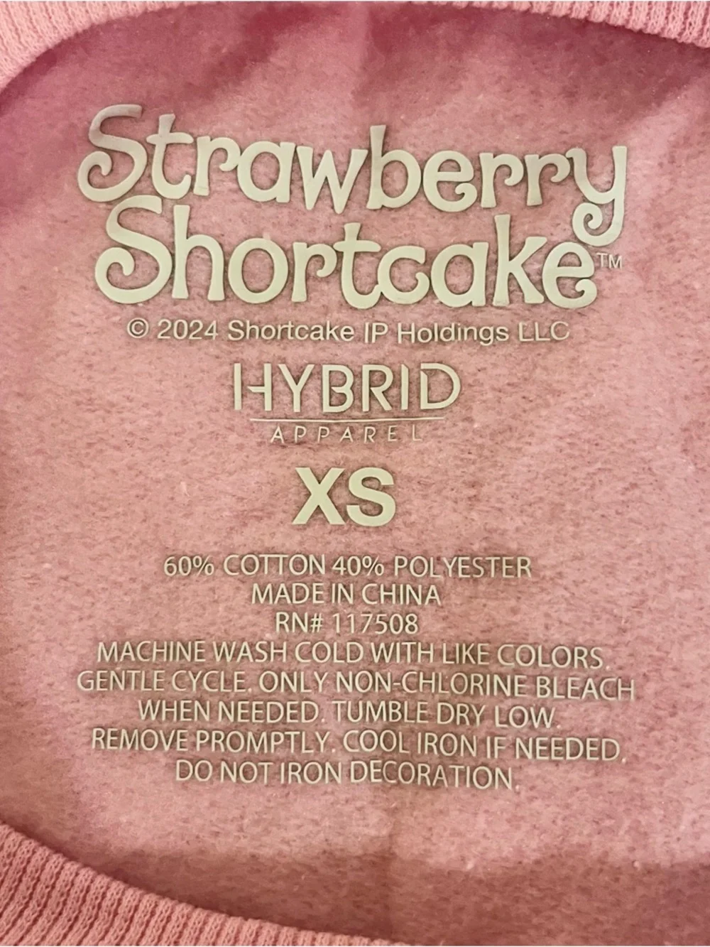 🆕- Retro Nostalgic Strawberry Shortcake Sweatshirt. Size: XS - Picture 6 of 7